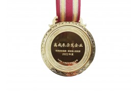 2022年度高成长示范企业
